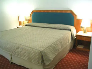 Hotel Ih Milano Eur -